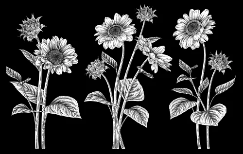 Цветы 070 (подсолнухи)